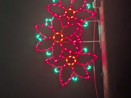 lights