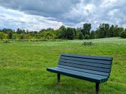 Picnic Area With Several Benches and 2 Picnic Tables