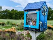 little free library