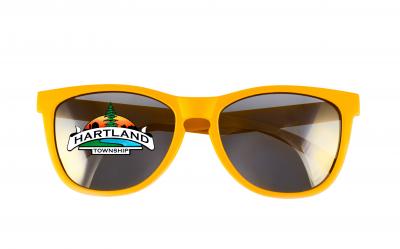 Hartland in Hindsight sunglasses